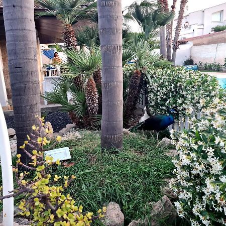 Dependance Oscar Apartment Carrozziere Fonte Ciane ภายนอก รูปภาพ