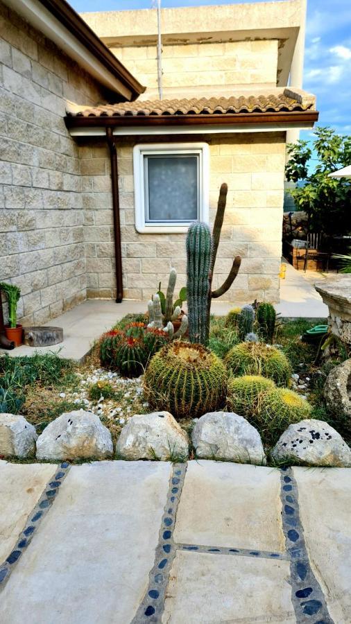Dependance Oscar Apartment Carrozziere Fonte Ciane ภายนอก รูปภาพ