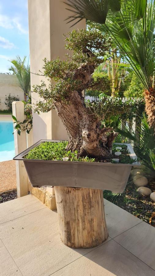 Dependance Oscar Apartment Carrozziere Fonte Ciane ภายนอก รูปภาพ